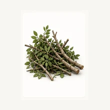 Branches and pruning waste removal icon